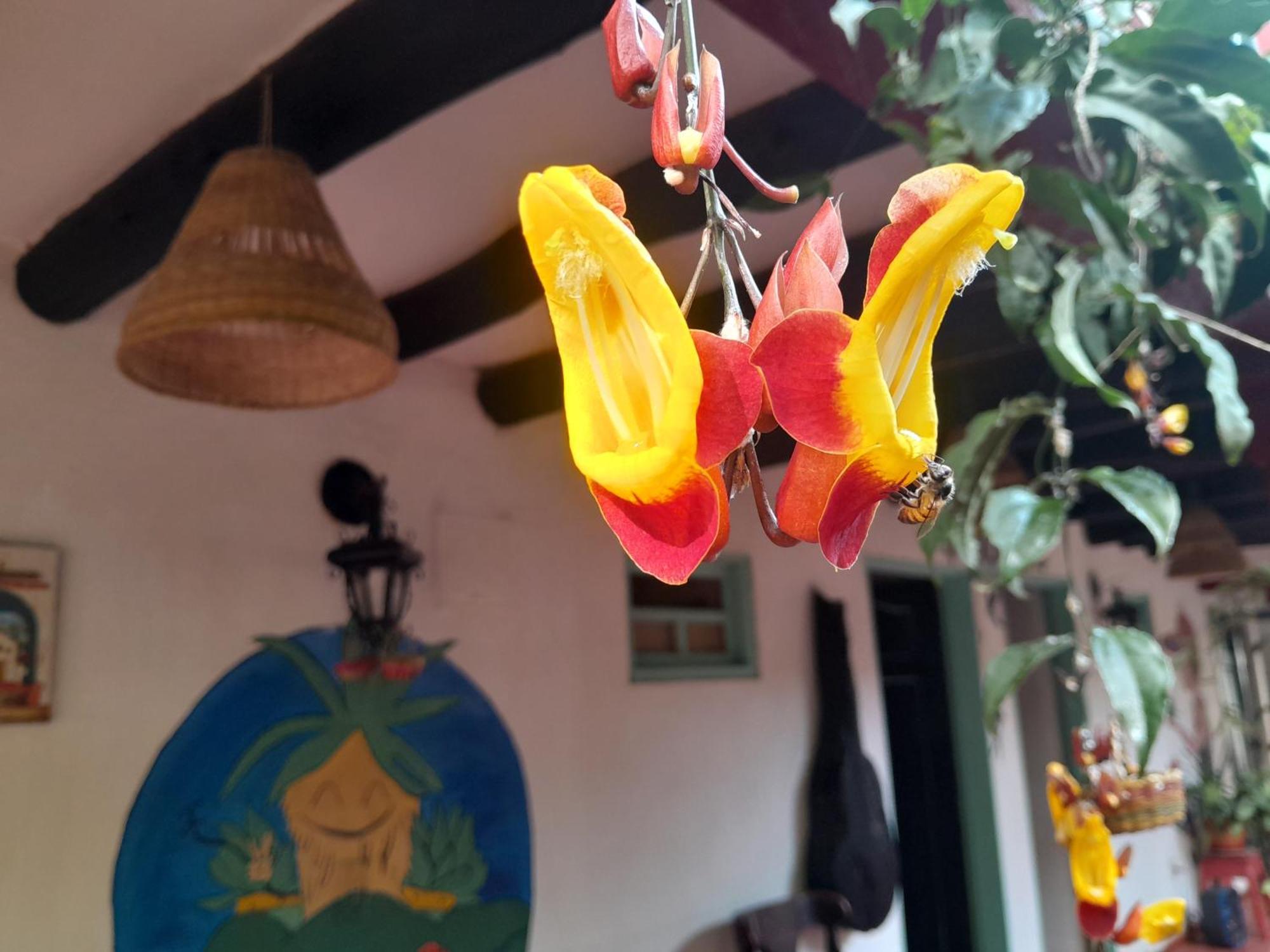 Beija Flor Hostel Villa de Leyva Kültér fotó